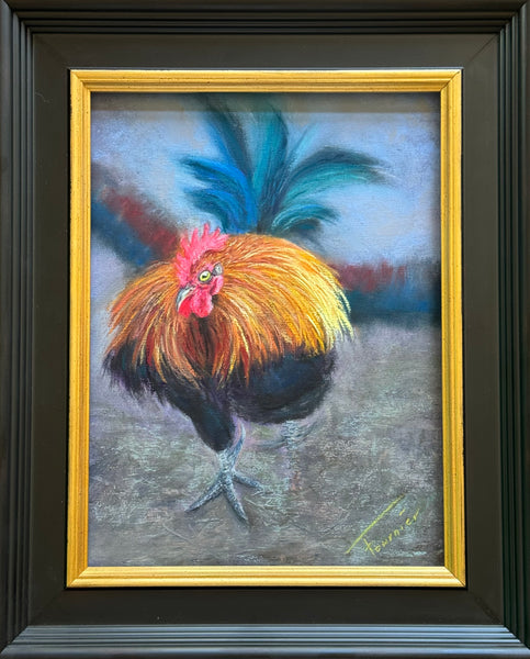 “Kauai Rooster” Original Pastel in Board 16”x13”