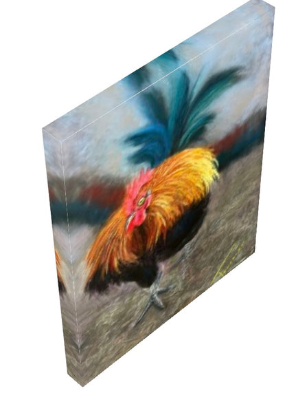 “Kauai Rooster” Print on Canvas-11”x14”